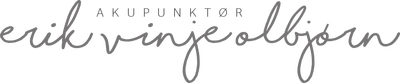 Erik Vinje logo
